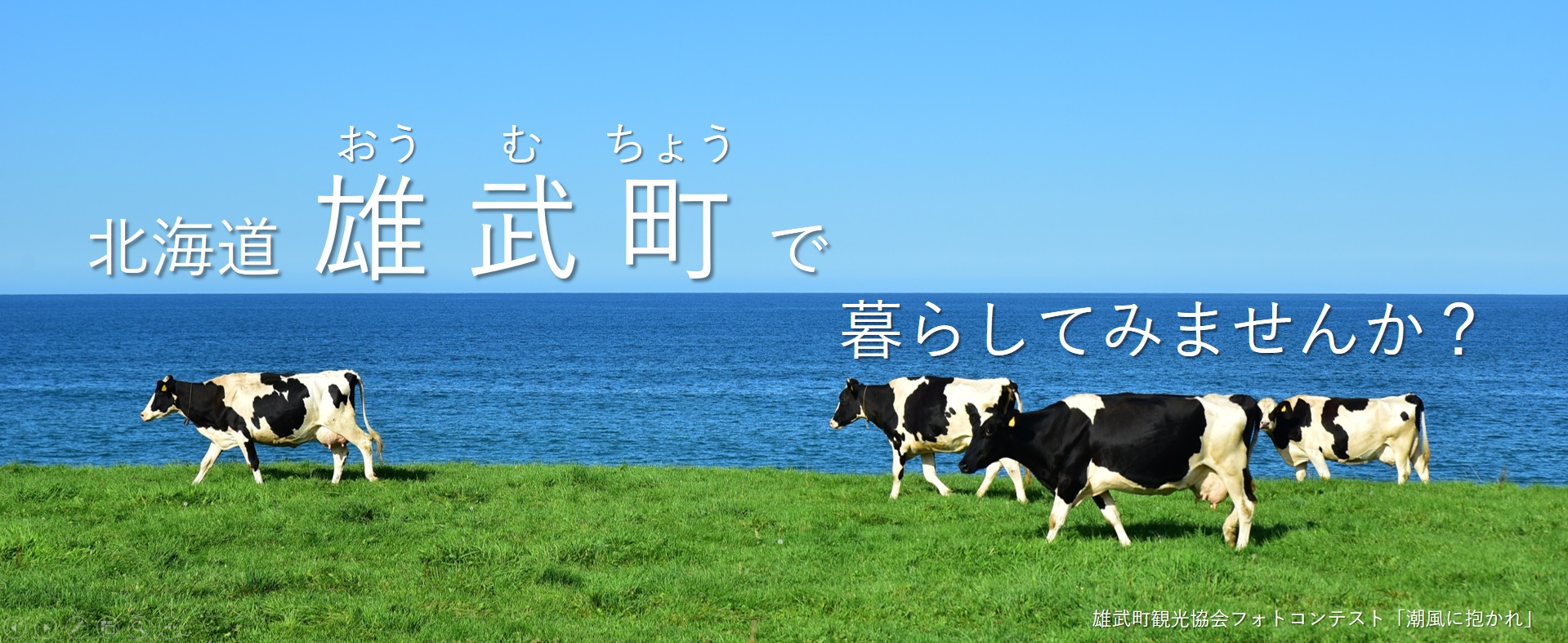 移住・定住情報