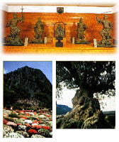 上:木造四天王像(国指定重要文化財)左下:御船山楽園つつじ 右下: 川古の大楠