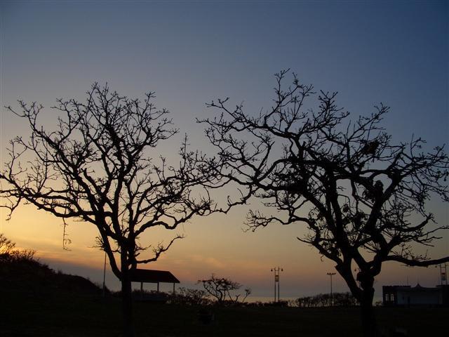 日の出岬キャンプ場 夕暮れ