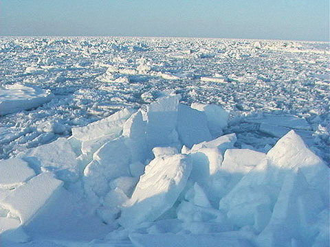 日の出岬へ接岸した流氷