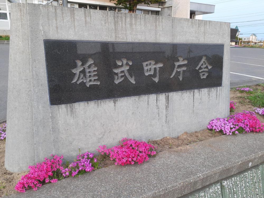 雄武町役場と芝桜